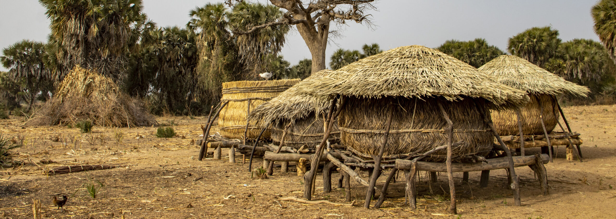 Tribes inside the Cave